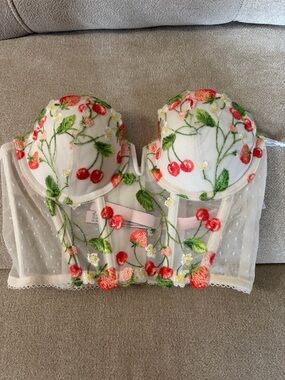 Rare* Victoria's Secret Strawberry Cherry Dream Angels Corset